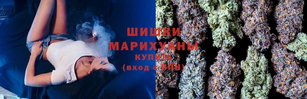 твердый Дубна
